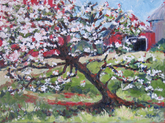 Apple Blossom Time  (plein air)