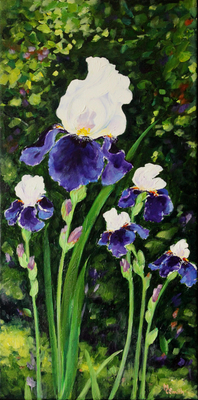 My Irises