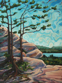 Booth's Rock Trail Lookout Algonquin (sold)