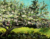 Old Apple Tree (sold)