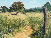 The Cow Path (plein air) (sold)