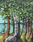 Trees at Jack's Cottage