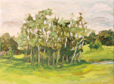 Plunkett's Poplar Grove (sold)